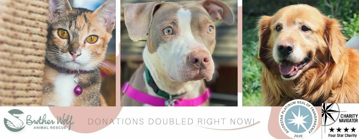 Spring / May 2021 Match 